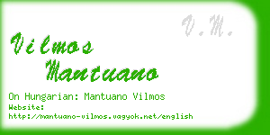 vilmos mantuano business card